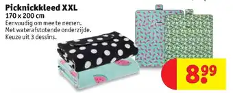 Kruidvat Picknickkleed xxl 170x200 cm aanbieding