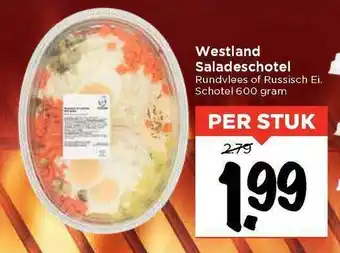 Vomar Voordeelmarkt Westland Saladeschotel Rundvlees Of Russisch Ei aanbieding