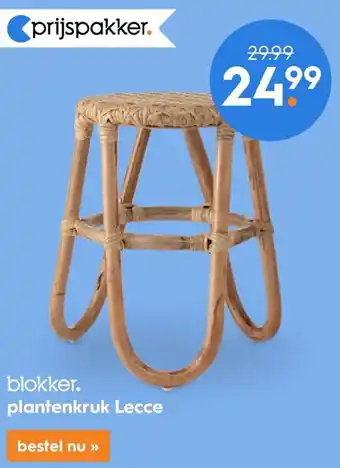 Blokker Plantenkruk Lecce aanbieding