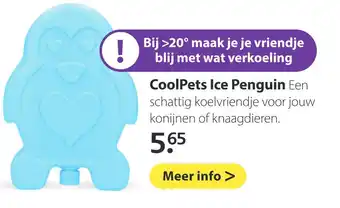 Boerenbond CoolPets Ice Penguin aanbieding