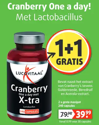 Lucovitaal Cranberry One a day! Met Lactobacillus aanbieding