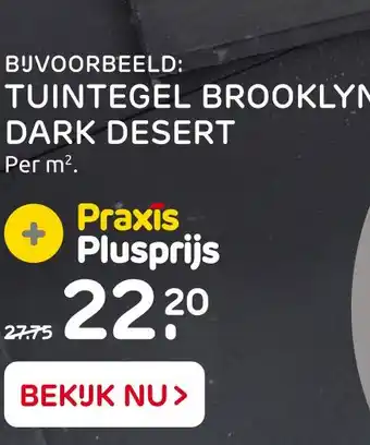 Praxis Tuintegel Brooklyn Dark desert aanbieding