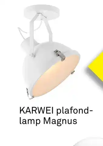 Karwei Plafond lamp magnus aanbieding