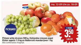 ALDI Pitloze witte druiven 500 g, Hollandse nieuwe oogst Elstar appels 1.5 kg en Nadorcott mandarijnen 1 kg aanbieding