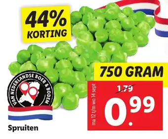 Lidl Spruiten 750g aanbieding