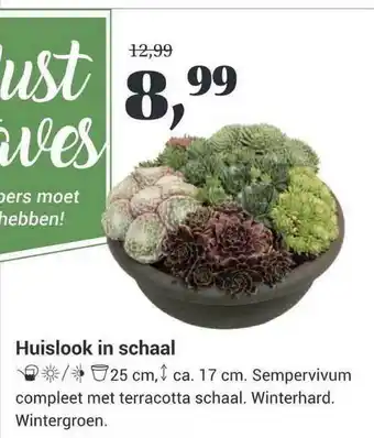 Tuincentrum Osdorp Huislook In Schaal aanbieding