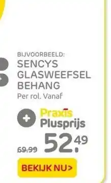 Praxis Sencys glasweefsel behang aanbieding