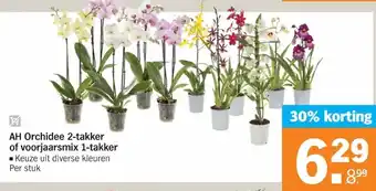 Albert Heijn AH Orchidee 2-takker of voorjaarsmix 1-takker aanbieding