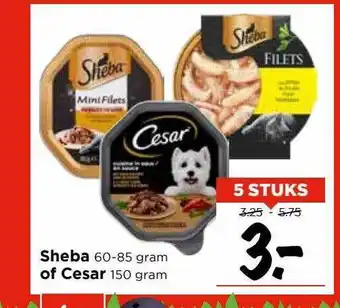 Vomar Voordeelmarkt Sheba of cesar aanbieding