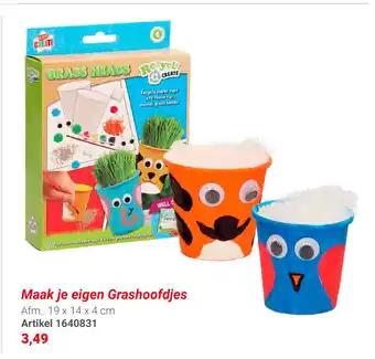 Lobbes Maak je eigen grashoofdjes 19x14x4CM artikel 1640831 aanbieding