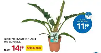 Praxis Groene kamerplant aanbieding