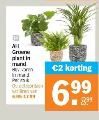 Albert Heijn Ah groene plant in mand €2 korting aanbieding