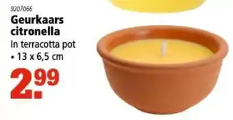 Marskramer Geurkaars citronella aanbieding