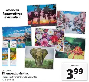 Lidl Crelando Diamond painting 30*40cm aanbieding