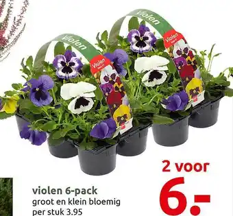 Deka Tuin Violen 6-pack aanbieding