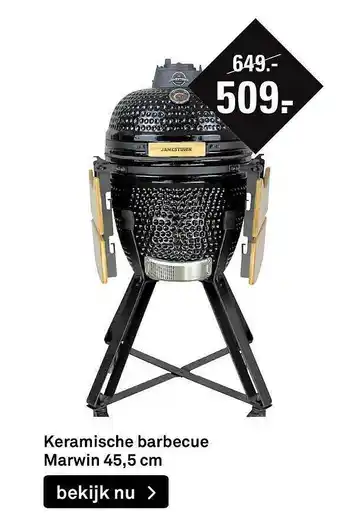 Karwei Keramische Barbecue Marwin 45,5 Cm aanbieding