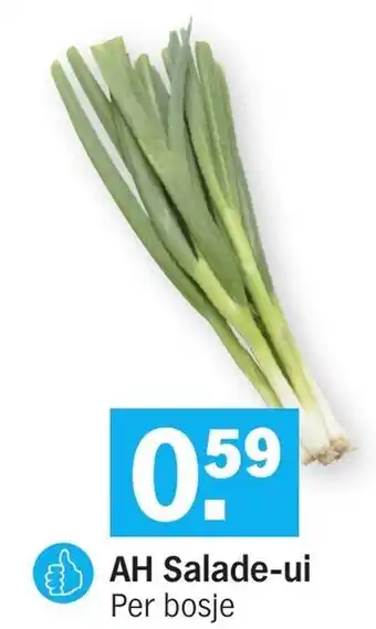 Albert Heijn AH Salade-ui aanbieding