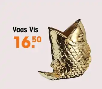 Kwantum Vaas Vis aanbieding