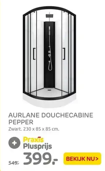 Praxis Aurlane douchecabine pepper zwart 230x85x85CM aanbieding