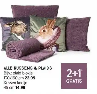 Xenos Alle kussens & plaids aanbieding