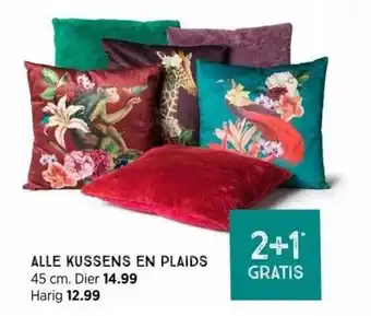 Xenos Alle kussens en plaids aanbieding