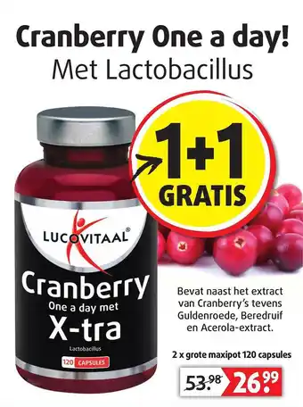 Lucovitaal Luvocitaal cranberry one a day met x-tra 1+1 gratis aanbieding