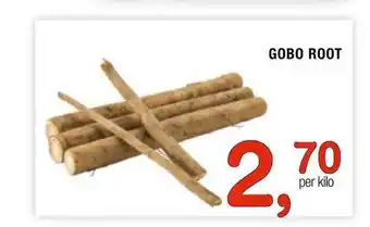 Amazing Oriëntal Gobo root aanbieding