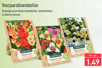 ALDI Voorjaarsbloembollen aanbieding