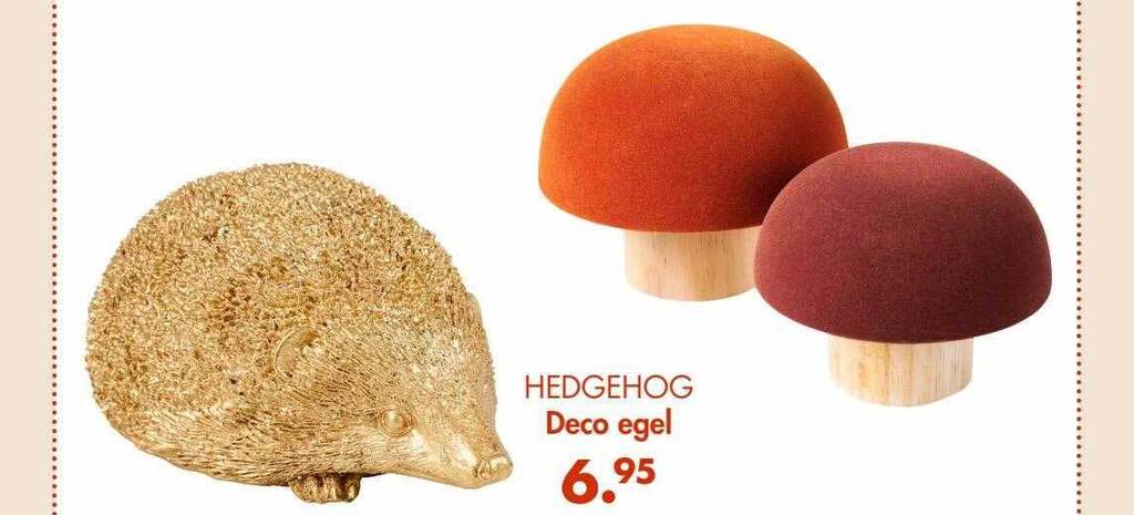 Casa Hedgehog deco egel aanbieding