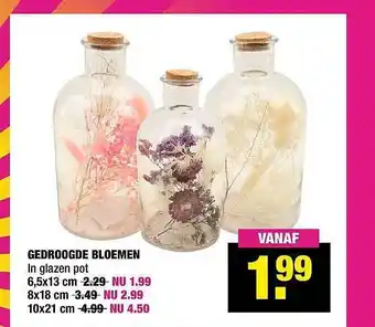 Big Bazar Gedroogde bloemen aanbieding