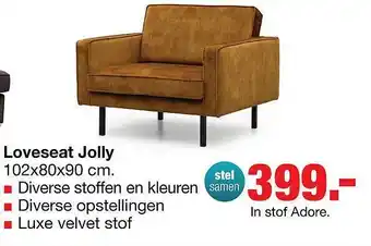 Budget Home Store Loveseat jolly aanbieding