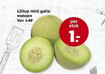 Hoogvliet Lililup Mini Galia Meloen aanbieding