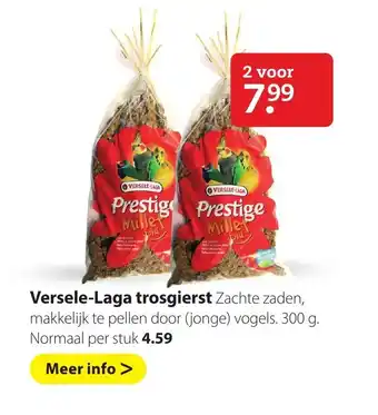 Boerenbond Versele-Laga trosgiest 2*300 gr aanbieding