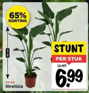 Vomar Voordeelmarkt Strelizia aanbieding