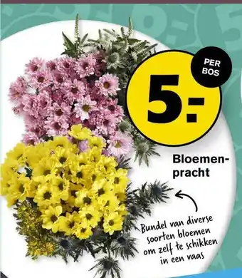 Hoogvliet Bloemenpracht aanbieding