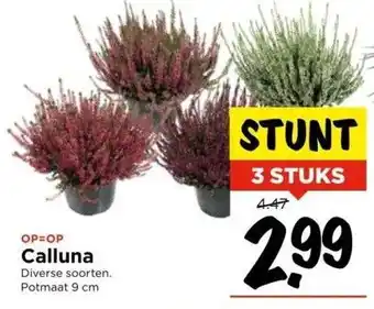 Vomar Voordeelmarkt Calluna aanbieding