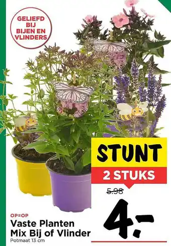 Vomar Voordeelmarkt Vaste Planten Mix Bij Of Vlinder aanbieding