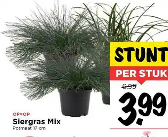 Vomar Voordeelmarkt Siergras Mix aanbieding