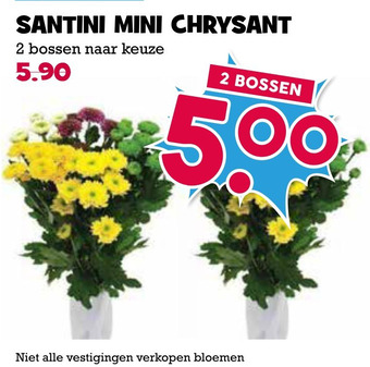 Boon`s Markt Santini mini chrysant aanbieding