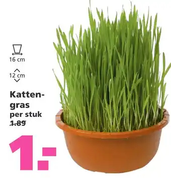 Ranzijn Katten- gras aanbieding