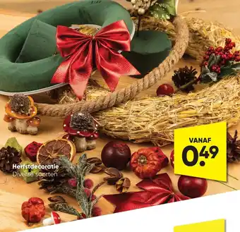 Big Bazar Herfstdecoratie aanbieding