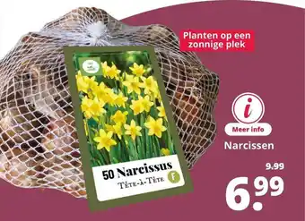 GroenRijk Narcissen aanbieding