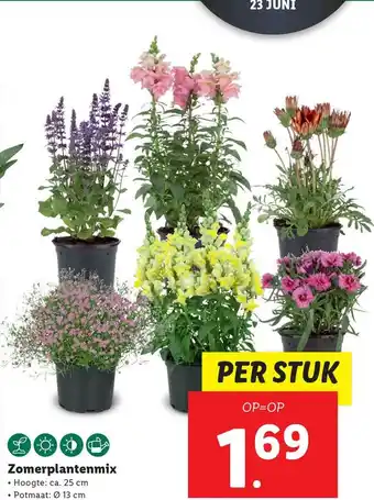 Lidl Zomerplantenmix aanbieding