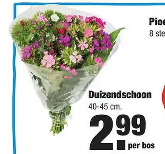 ALDI Duizendschoon aanbieding