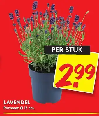 Dekamarkt Lavendel aanbieding