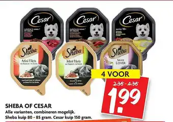 Dekamarkt Sheba of cesar aanbieding