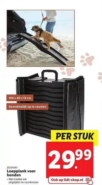 Lidl Zoofari loopplank voor honden aanbieding