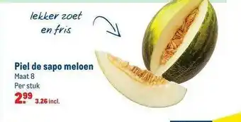 Makro Piel de sapo meloen aanbieding