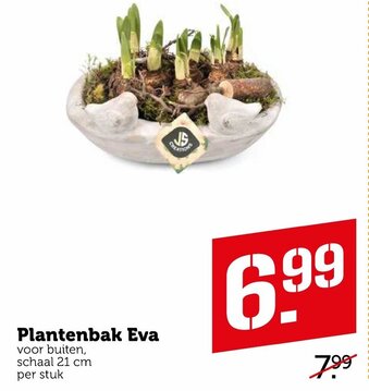 Coop Plantenbak Eva aanbieding