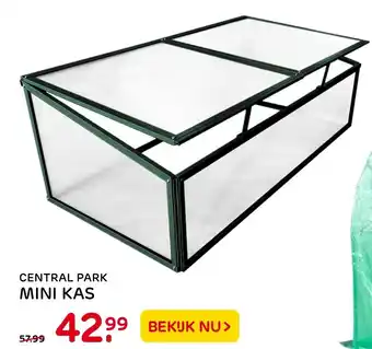 Praxis Central Park Mini kas aanbieding